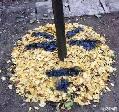 关于30岁的说说心情