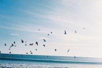 ​心情低落无奈句子87句