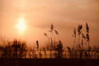 ​描写夕阳的好词好句