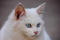 ​有内涵的句子说说心情（女生难过的说说句子）