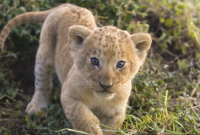 ​适合发朋友圈的文案 微信朋友圈签名语录