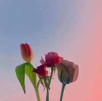 ​很唯美走心的人生格言(现实犀利受用一生)