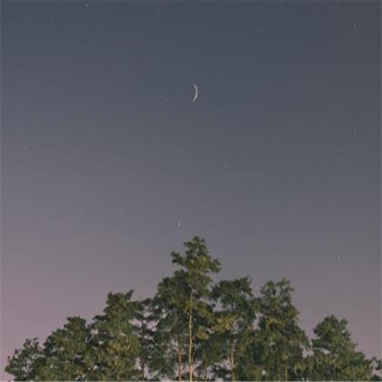 工作默默付出的句子