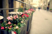 ​早安暖心话给女朋友[24条]