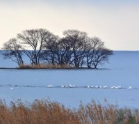 ​一个人心累受伤的句子(感觉无助心累的句子)