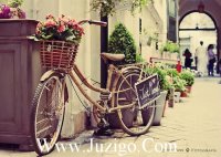 ​享受生活的句子写心情【15句】