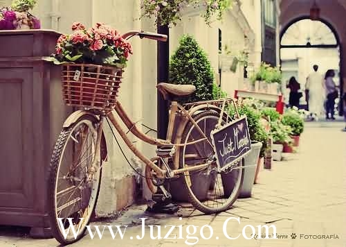 享受生活的句子写心情【15句】