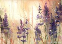 ​迷茫句子发朋友圈（一个人迷茫无助的句子，看完让人心情久久不能平静！）