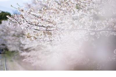 表达心情的伤感爱情句子