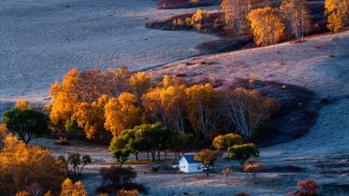表达心情的伤感爱情句子