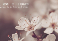 ​早上好高情商句子发朋友圈