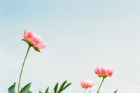 ​人活着真累的心情说说人活着真累的心情说说(22句)