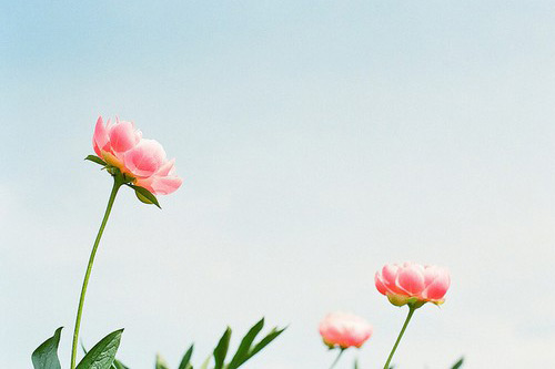 人活着真累的心情说说 人活着真累的心情说说(22句)