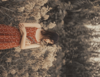 ​八月文案句子 形容8月份的优美句子