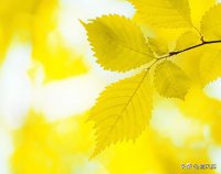 ​早安唯美说说  文案