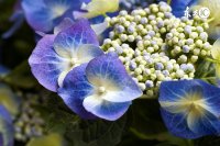 7句文艺唯美短句句子 ，你最喜欢哪句呢？