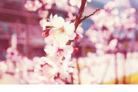 ​形容心累的个性签名 心累了想自杀的句子