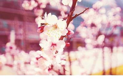 形容心累的个性签名