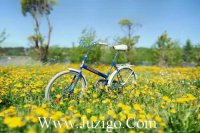 ​适合十二月第一天发朋友圈的励志语录大全(精选105句)