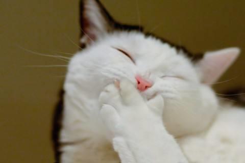 早安励志哲理格言