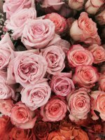 ​爱情句子表达心情（非常有哲理的爱情句子，直指人心，哪一句说中你的心情）