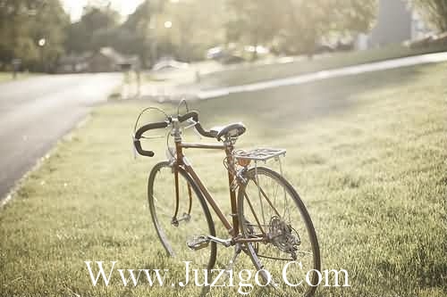 女孩励志性的句子82句