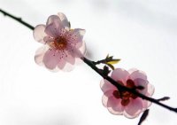 ​友情情感语录扎心句子（友情语录经典语录）