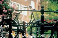 ​中考霸气励志格言语录(精选83句)