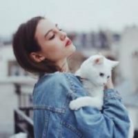 ​正能量的句子（简短好心态女人的语录）