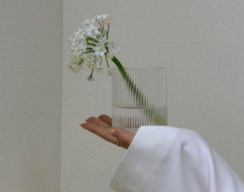 早安简短正能量句子 每日晨语阳光短句