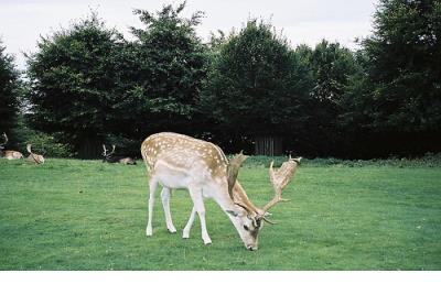 心灵鸡汤正能量短句