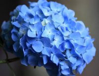 ​最近很累的心情说说