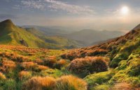 ​拿到驾照的心情语录