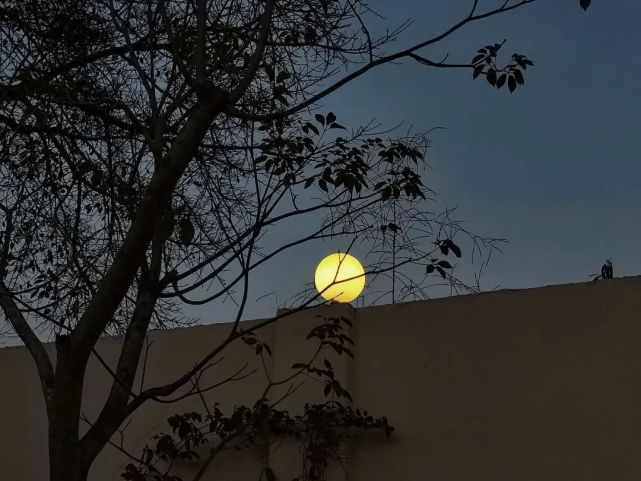 积极短句,励志短句 . 积极向上正能量励志短句（精选40句）