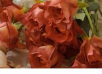 ​学生展望未来的句子 关于未来的励志句子