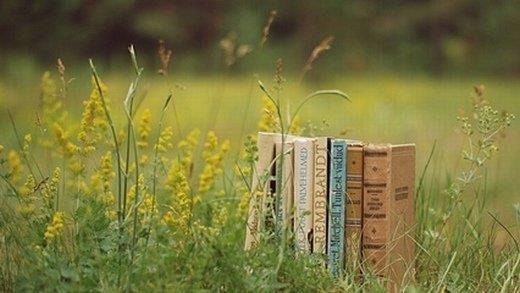 每天一条正能量短句