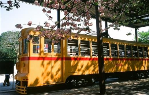 最朴实打动人心的句子