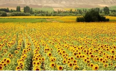 微信励志的个性签名