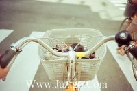 ​激励中考努力的正能量励志语录(精选59句)