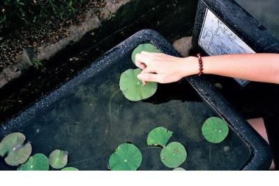 自己18岁生日说说