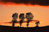 ​早安语录2025正能量语录摘抄24句