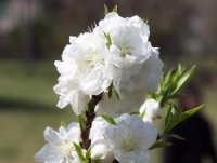 ​QQ心情（qq说说心情短语开心）