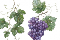 ​形容回家心情非常好的句子 形容回家心情非常好