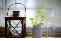 ​心情说说很现实的说说发朋友圈 脾气(20句)