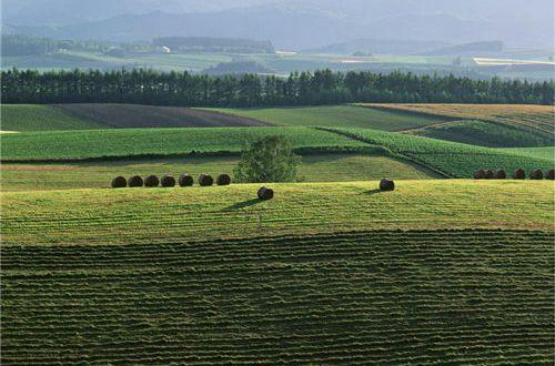 一步一个脚印励志句子
