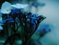 ​形容春天容易犯困的句子 发朋友圈情绪低落的文案