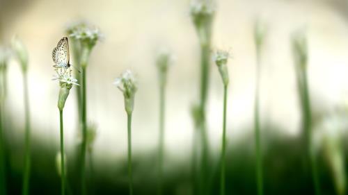 努力的意义正能量语句