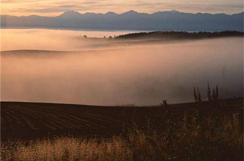 形容生活简单开心的句子说说心情短语