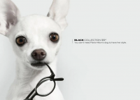 ​一首让自己坚强的歌