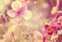 ​霸气成熟稳重说说句子(大气洒脱的古风句子)